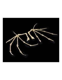 Bone Wings. Mythic Legions: All Stars 6