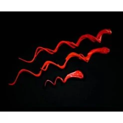 Magic Effects - Evil. Mythic Legions: Poxxus. -Ventas PIXELATOY magic effects evil mythic legions poxxus 3