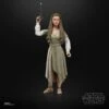 Hasbro Princess Leia (Ewok Village). The Black Series. Star Wars