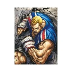 STREET FIGHTER ENCICLOPEDIA DE GUERREROS MUNDIALES -Ventas PIXELATOY street fighter enciclopedia de guerreros mundiales 2