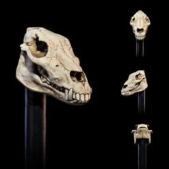 Undead Heads Pack. Mythic Legions: All Stars 6. -Ventas PIXELATOY undead heads pack mythic legions all stars 6 6